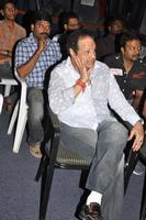 Balakrishna Gallery